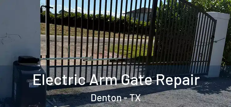  Electric Arm Gate Repair Denton - TX
