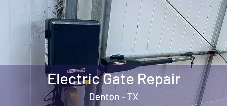  Electric Gate Repair Denton - TX