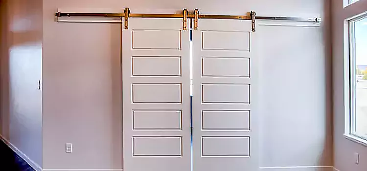 Glass Barn Door with Installation Hardware Kit Denton