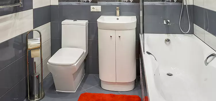 Hansgrohe Shaving Mirror Denton